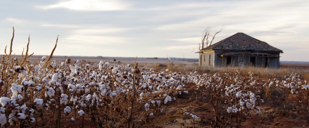 22828590304_9507465e6e_o