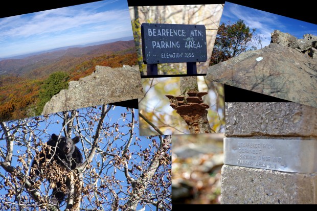 Blog Working Folder7