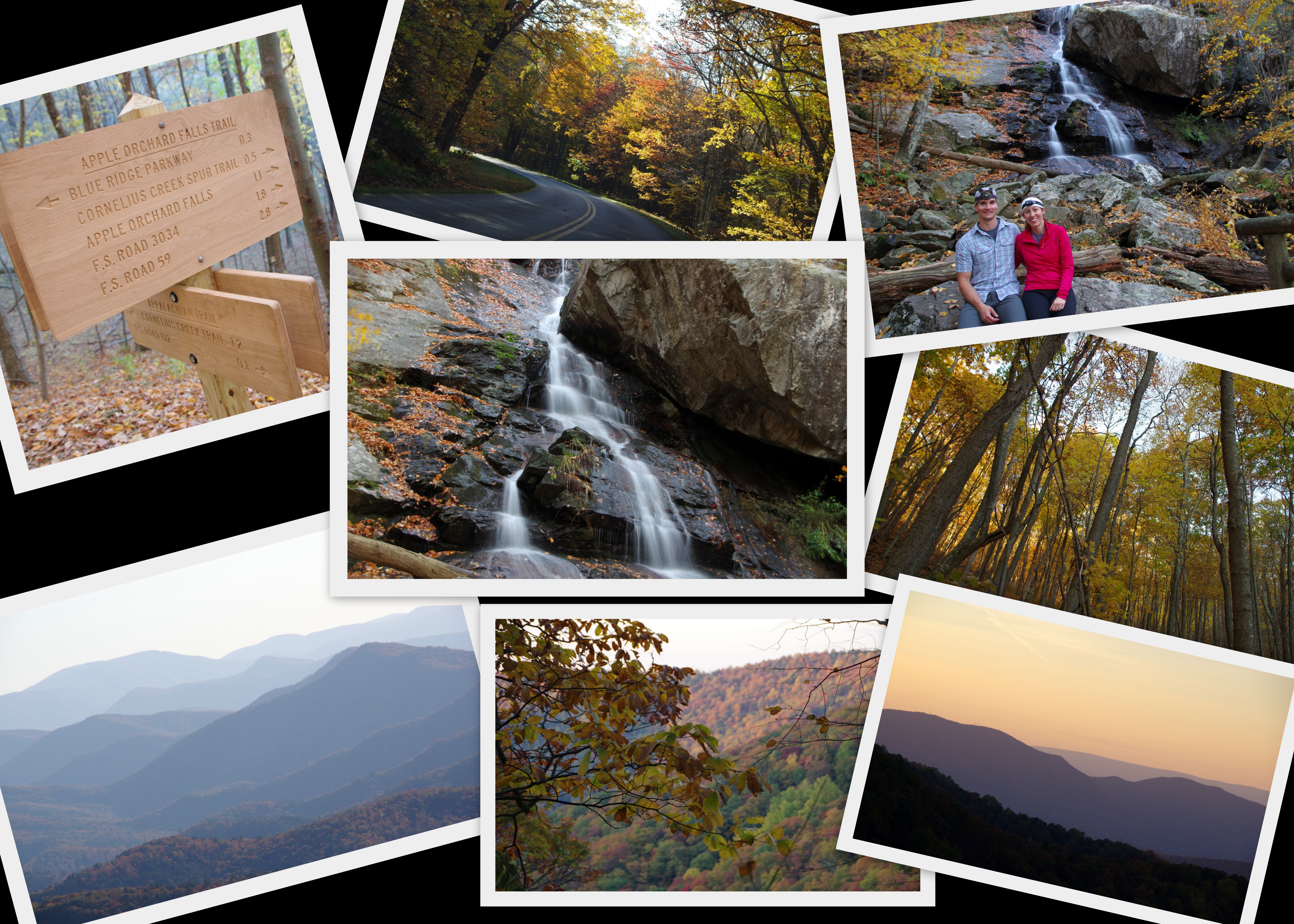 Blog Working Folder9